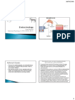 Adrenal RAAS, Vasopressin Lecture 37 PDF