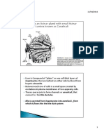 GIT Lecture 16-17 Bile Secretion PDF