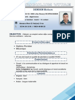 CV DENDEN Hicham PDF