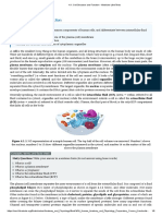 Cell Structure and Function