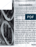 Plocek PDF