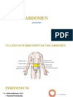 Abdomen Anatomy