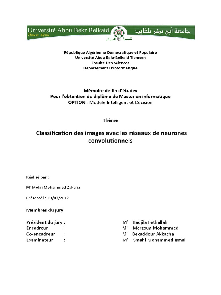 Classification Des Images Avec Les Reseaux de Neurones | PDF | Image ...