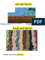 Seeds and Spores: J - Zsxo-Ud6Oiqa3/View?Usp Sharing Rwdwp9C6/View?Usp Sharing