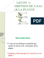 Leçon L'absorption de L'eau Par La Plante