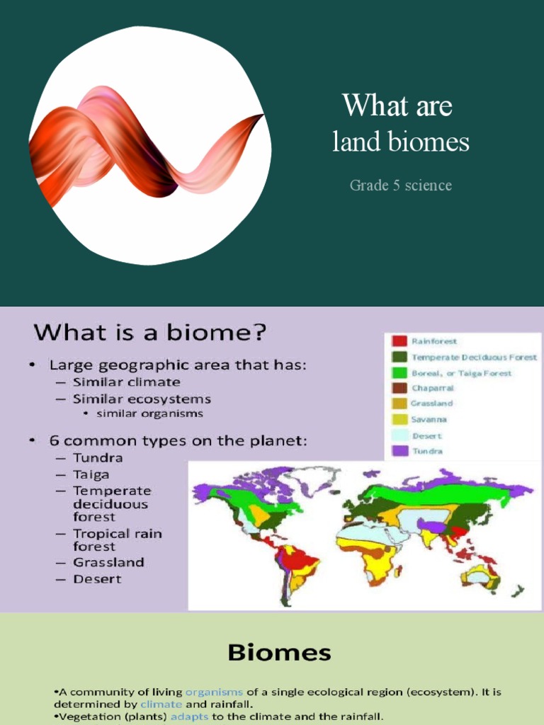 What Are Land Biomes PDF