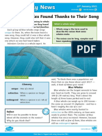 1a. Daily Article - New Blue Whale Song - LKS2 (7-9) PDF