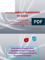 Intercambio y Transporte de Gases