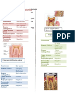 Diagnóstico em Endodontia-Convertido Parte1