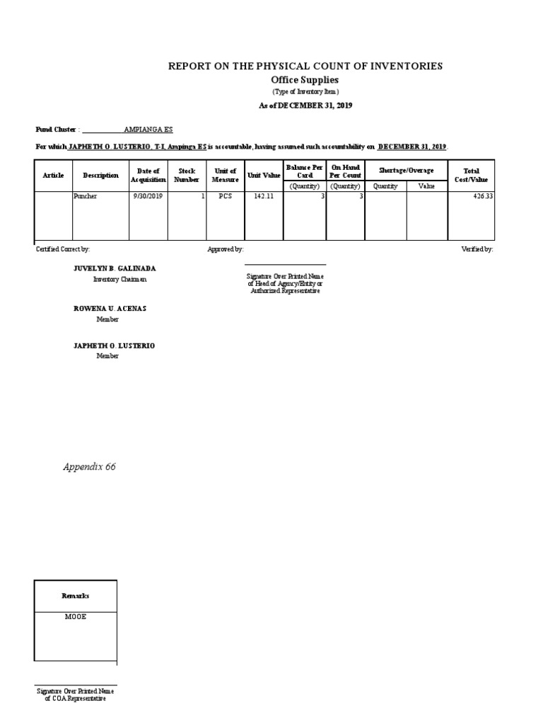 Inventory Count Report - Ampinga ES | PDF