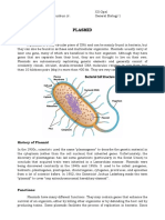 Gen Bio Ass Plasmid