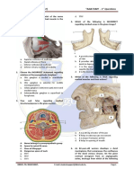 T - D - Anatomy - (Day - 1) Questions PDF