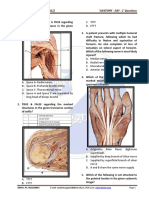 T - D - Anatomy - (Day - 2) Questions PDF