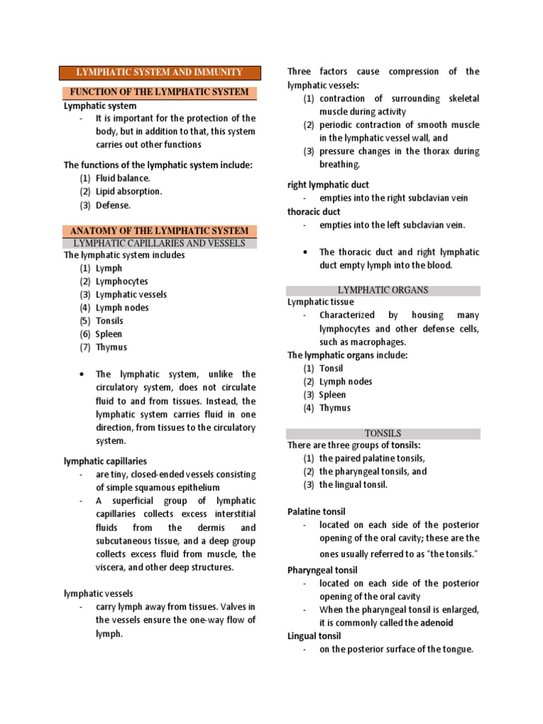 Lymphatic Pdf Pdf Lymphatic System Immune System
