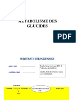 Cours3-Métabolisme Des Glucides PDF