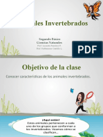 PPT Invertebrados Ciencias