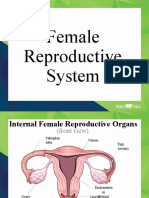 Female Reproductive System