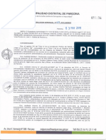 Resolucion Gerencial 217 PDF