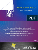 Diapositivas Metodologias Agiles 310522pdf Espanol PDF