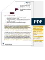 Bio Method Saq New PDF