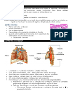 Fisiologia Cardíaca PDF