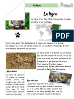 Documentaire Animalier N°10 - Le Tigre PDF