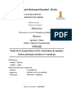 Mémoire Master Final PDF