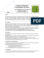 FT Laitue CRADosso V1 PDF