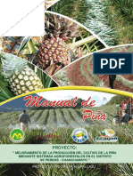 Proyecto Especial Pichis Palcazu Manual