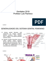 Genitales 2019ok