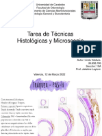 Tarea de Tecnicas Histologicas y Microscopio N