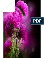 Flower Ideas PDF