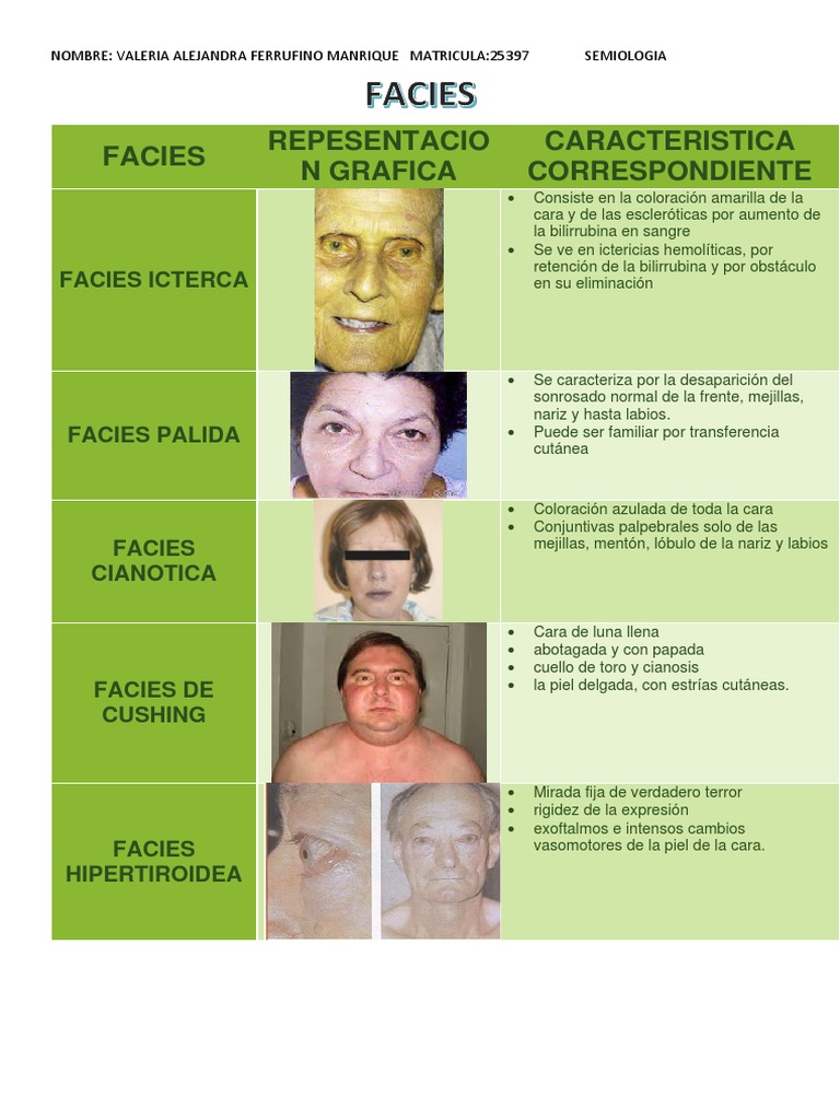 Facies. 25397 PDF PDF Anatomía Anatomía humana