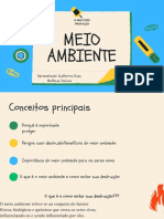 Meio Ambiente