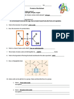 Protein Worksheet