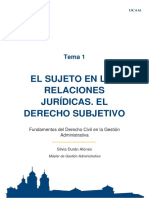 CIVIL - Todos Los Temas y Diapositivas PDF