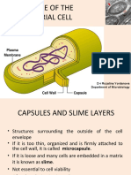 2 Exerscise Capsule