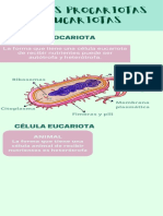 Células Infografía PDF