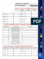 Practica-Radicales 2023 PDF