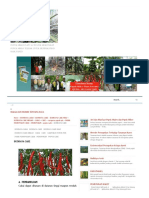 Budidaya Cabe - Pupuk Mikro Plant Activator PDF