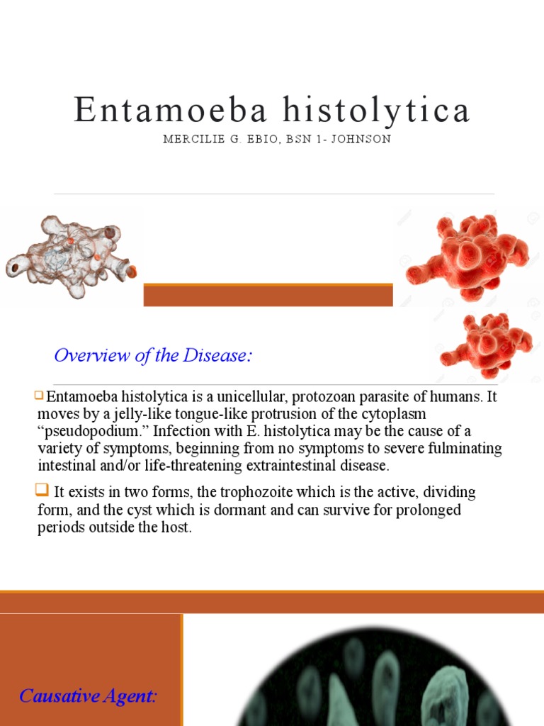 Infection Modes of Entamoeba histolytica | PDF