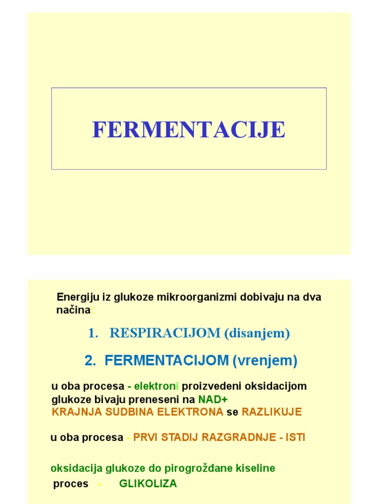 Fermentacije PDF | PDF