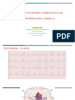 Aula 5 - Patologia Cardiovascular - Arritmias Versão 1