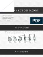 Semana 4-8 de Gestación