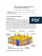 4 Ciencia y Tecnologia PDF