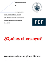 Como Escribir Un Ensayo PDF