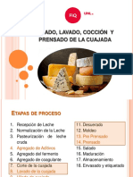 Proceso de fabricación de queso: etapas desde la cuajada hasta el prensado