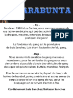 Dossier Marabunta PDF