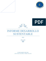 Informe Desarrollo Sustentable