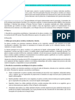 Guia 4 Histologia PDF
